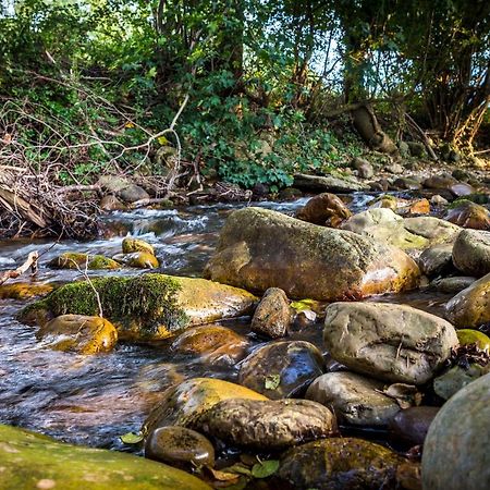 San Martin  Apartamentos Rincon Del Duende المظهر الخارجي الصورة